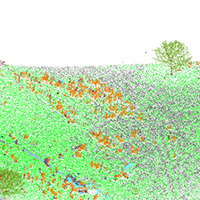 24. Classification results visualized in a 3D LiDAR point cloud (detail from Fig. 4a2)